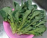 のらぼう菜のおひたし作り方1写真