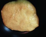 【糖質制限】ピーナッツ豆腐作り方8写真