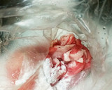 豚肉の旨辛中華風炒め作り方2写真
