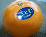 バカルディとせとかのカクテル♫作り方2写真