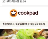 パパも満足！簡単 失敗なしのもつ煮込み作り方7写真