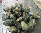 ワタリガニとあさりのトマトクリームスパ作り方5写真