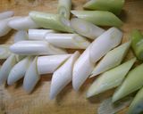 簡単 挽き肉と 長ネギの 和風 カレー煮作り方1写真