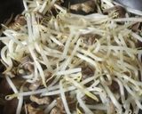 砂肝ともやしの生姜焼き作り方6写真