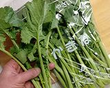 菜の花。蛸とシラス・若布の芥子酢味噌和え作り方12写真