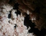 ☆菜の花の雑炊 梅風味鶏そぼろのせ☆作り方4写真