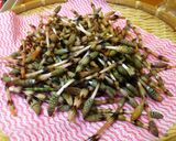土筆のおひたし梅おかか和え作り方1写真