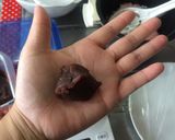 思いたったら桜餅☆もち米と炊飯器で楽々☆作り方4写真