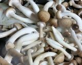 鬼盛りしめじのバターポン酢炒めトースト作り方4写真