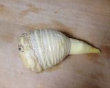 たけのこごはん作り方10写真