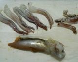 するめイカの姿焼き&肝マヨ七味だれ作り方5写真