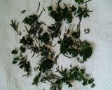 節約♪　手作りクレイジーソルト作り方6写真
