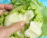 簡単レタスツナサラダ。もう一品おつまみに作り方5写真