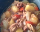 鶏肉とジャガイモの煮物作り方6写真