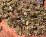 蕗の薹ソースでいただく☆カリカリ豚バラ作り方2写真