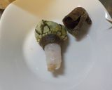 磯のガメラ 亀の手を食べる作り方6写真