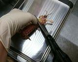 マグロ漁師さん絶品しゃこ捌き方から刺身作り方3写真
