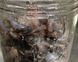 いかなご醤油(フルセの魚醤)作り方3写真