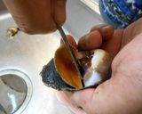 愛知の魚100選外 ツメタガイの燻製作り方4写真