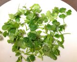 傷む前に保存!ドライ香菜(=パクチー)作り方2写真