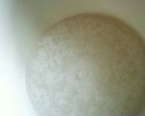 簡単 手作りパン作り方1写真