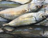 セブ島の魚で南蛮漬け作り方1写真