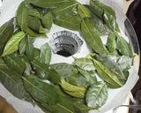 自家製:ローリエ♪作り方4写真