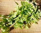 春の山菜：ふきのとうの茎炒め作り方1写真