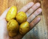 新じゃが☆丸ごと揚げて→塩パラパラ～♪作り方1写真