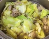 【少し】鶏肉春キャベツサッと煮【中華風】作り方8写真