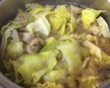 【少し】鶏肉春キャベツサッと煮【中華風】作り方9写真