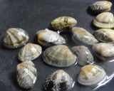 手作りドレッシングで作り方2写真