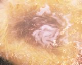 揚もみじ饅頭☆Ｗ筍Ｗ明太Ｗクリームパスタ作り方13写真