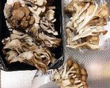 舞茸のポン酢炒め作り方1写真