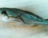 いしもちの簡単トマト煮？アクアパッツア作り方1写真
