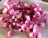 桜の花の塩漬け作り方1写真
