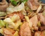 鶏肉とキャベツのオイスター炒め作り方7写真