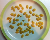 かぼちゃの種の洗い方作り方7写真