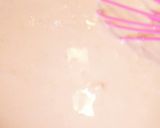 ☆じーまみ豆腐☆♪*゜作り方2写真