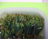 私流～♪春の山菜わらびのあく抜きと保存作り方10写真