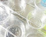 ☆じーまみ豆腐☆♪*゜作り方8写真