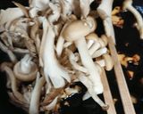 米粉で作れば、キノコと里芋のグラタン作り方5写真