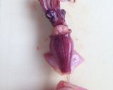 春✳︎ホタルイカと水菜のパスタ作り方3写真