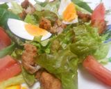 鶏唐サラダ　簡単作り方2写真