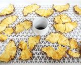 ドライフルーツメーカーでドライパイン作り方5写真