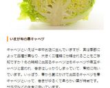 簡単！甘い。春キャベツのおいしい食べ方。作り方4写真