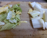 厚揚げと白菜と春雨の煮物作り方1写真