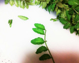 簡単で上品♪新竹の子の木の芽味噌あえ作り方1写真