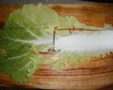 白菜サラダ 焼肉のたれで簡単に!作り方1写真