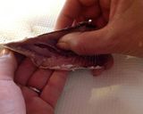 骨まで☆鰯のシソ入り揚げ団子(つみれ)作り方2写真